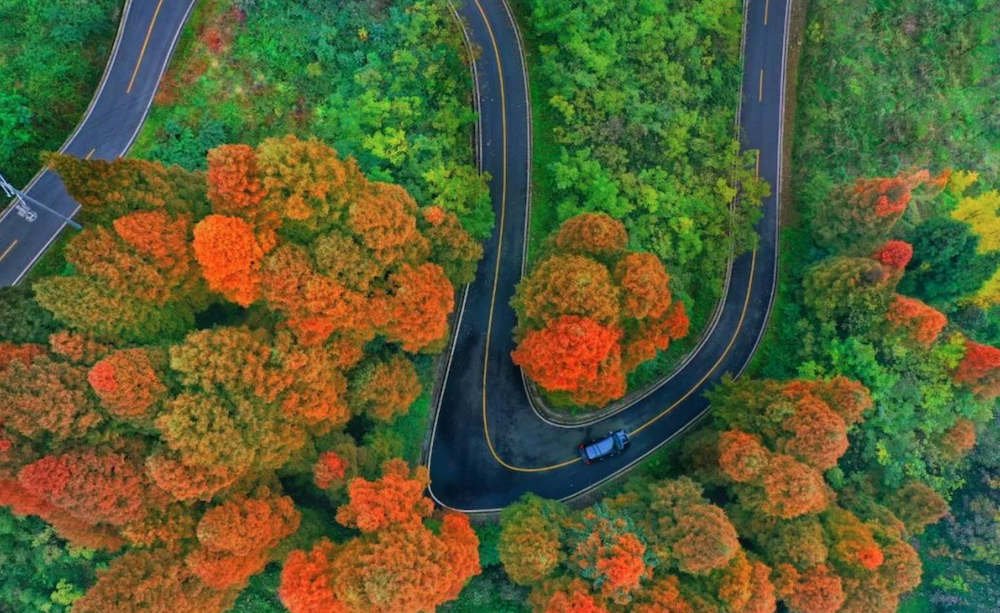 赵公山4.png 赵公山4.png