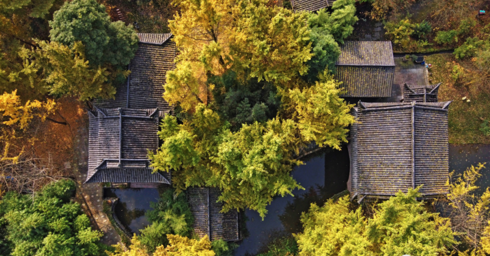 石羊镇徐渡社区.png 石羊镇徐渡社区.png