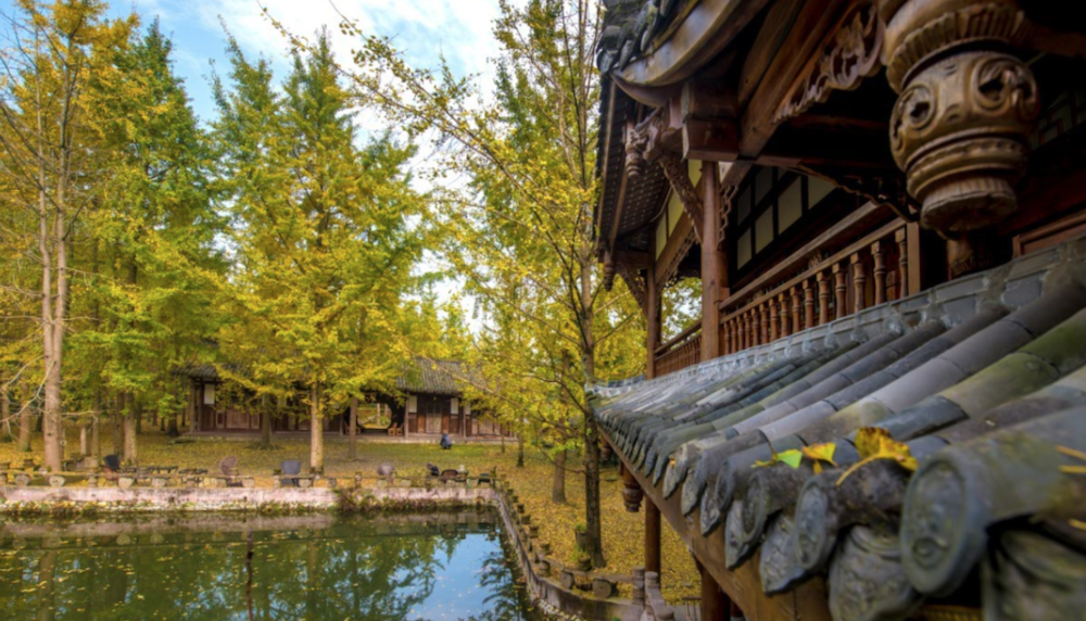 石羊镇徐渡社区2.png 石羊镇徐渡社区2.png