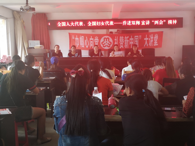 乔进双梅深入基层调研,开展讲座宣讲两会精神—受访者本人提供 (3).jpg