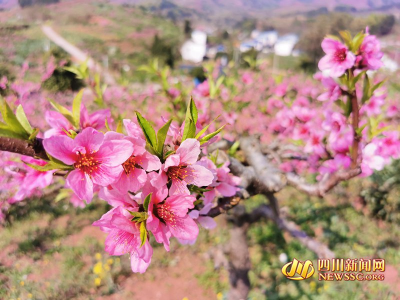 �ɶ����������ڶ��춫´�һ���ʳ��2  ���� ��_����.jpg