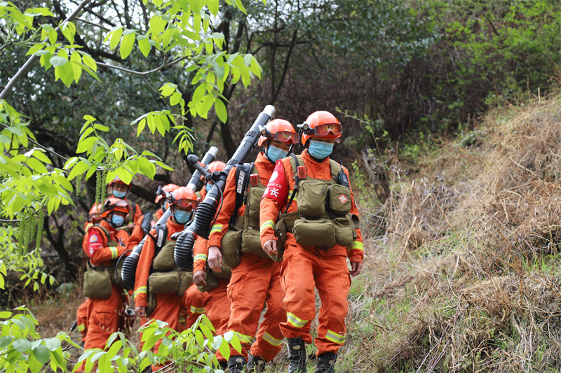 在重点林区进行巡护.jpg 在重点林区进行巡护.jpg