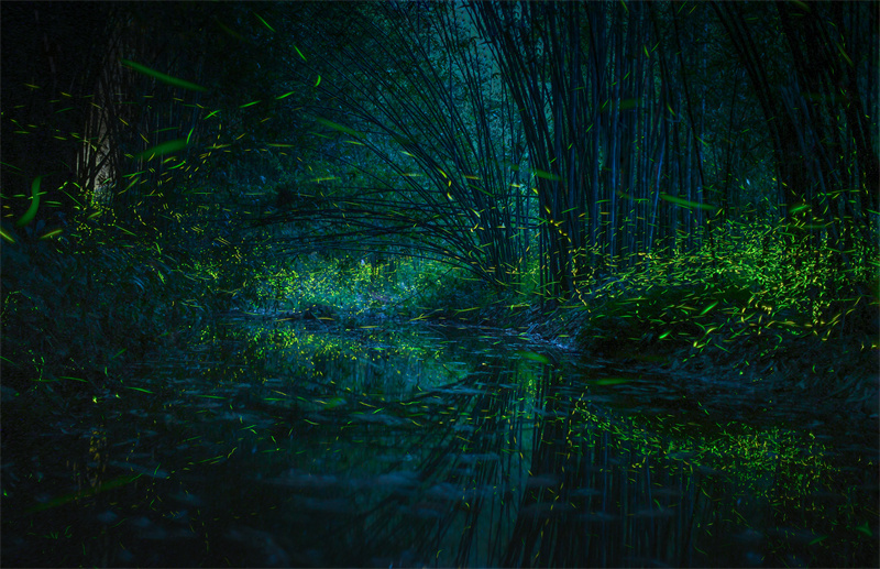 ΢ͼƬ_20220412113916.jpg