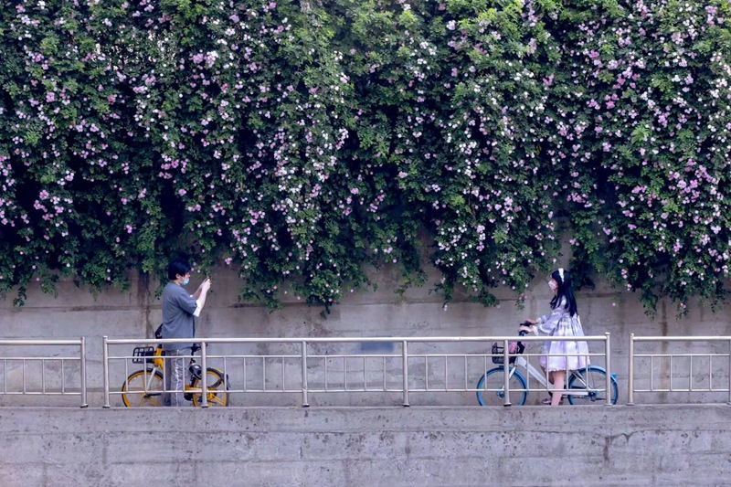 �����ܱ߷羰 (3)_����.jpg