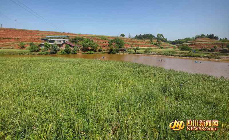 建设中的百里粮油走廊一景_副本.jpg 建设中的百里粮油走廊一景_副本.jpg