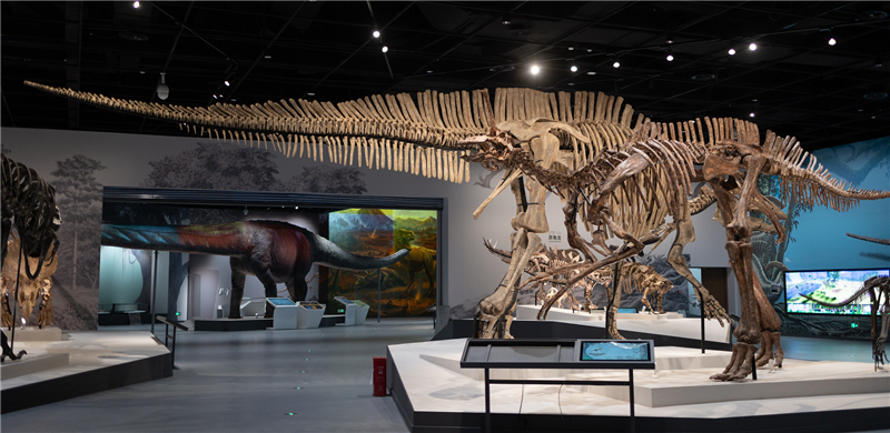 自然博物馆内.png
