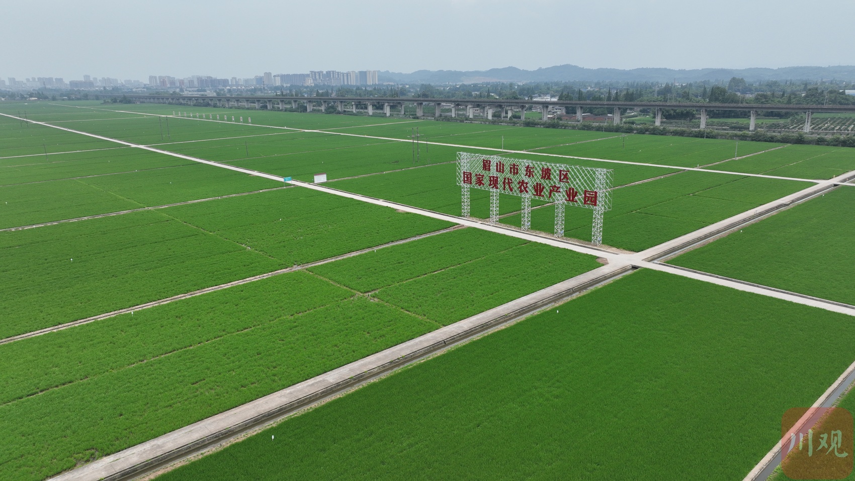 永丰村高标准水稻种植基地.jpg 永丰村高标准水稻种植基地.jpg