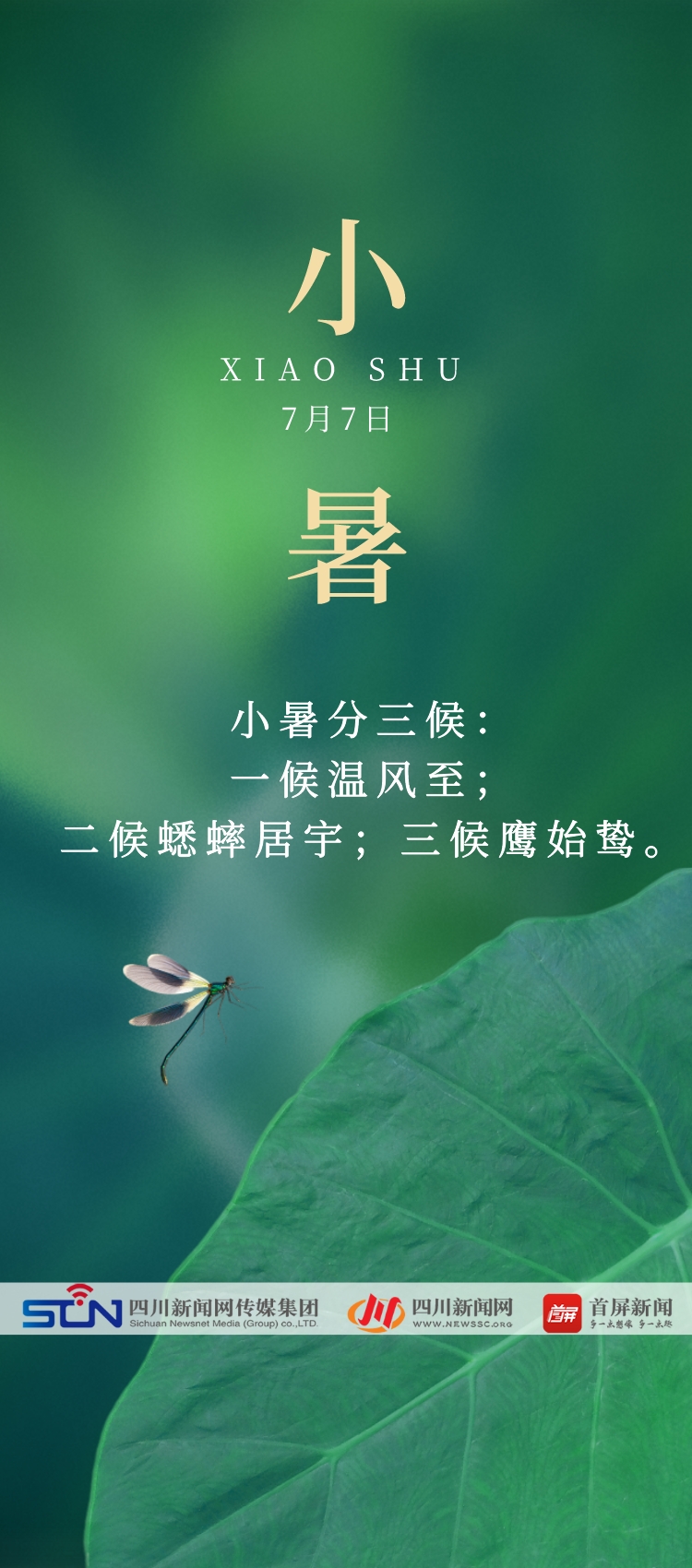小暑7.7.jpeg