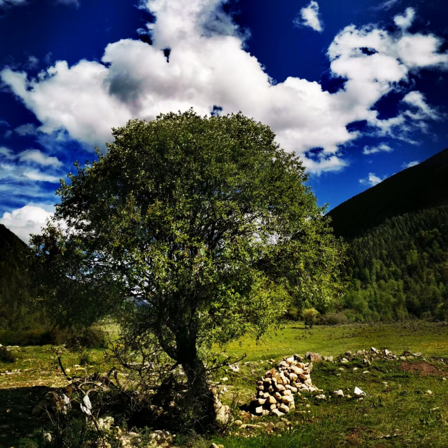 image022.png