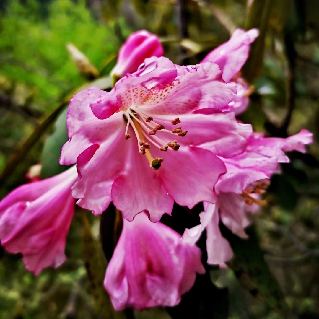 image024.png
