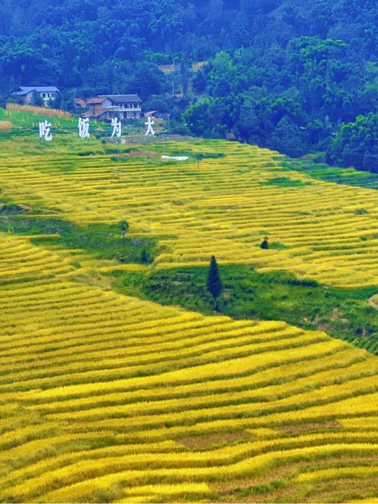 图片1.jpg 图片1.jpg