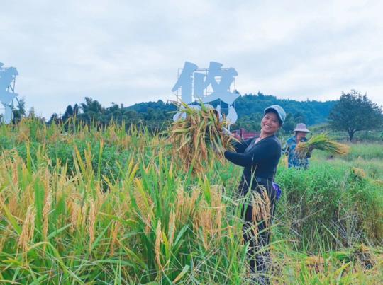 图片3.jpg 图片3.jpg