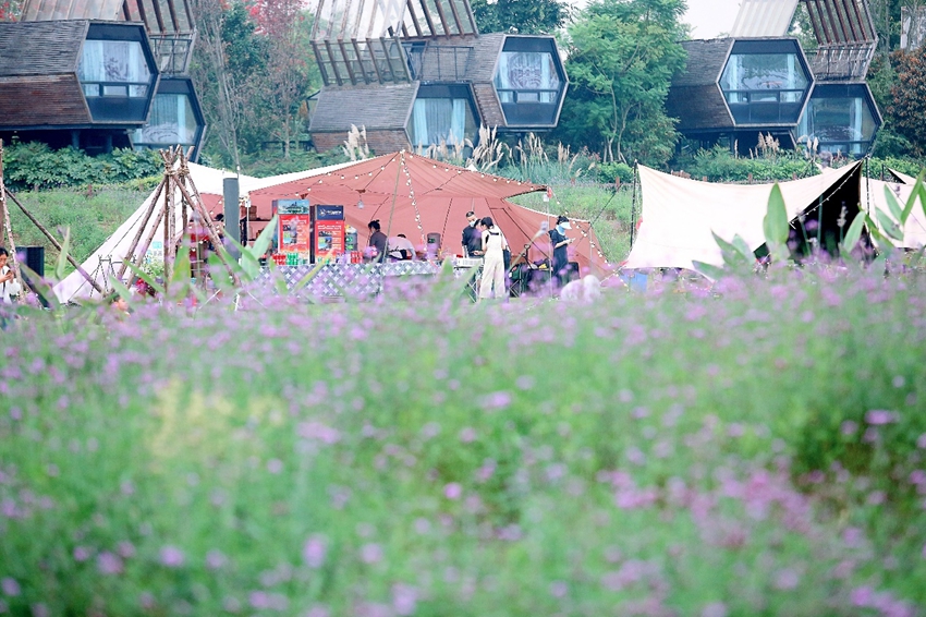 花海露营.jpg