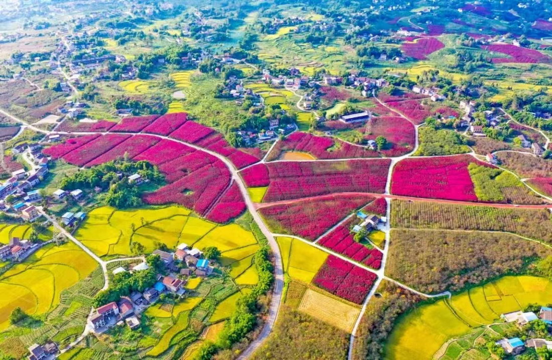 图片1.jpg 图片1.jpg