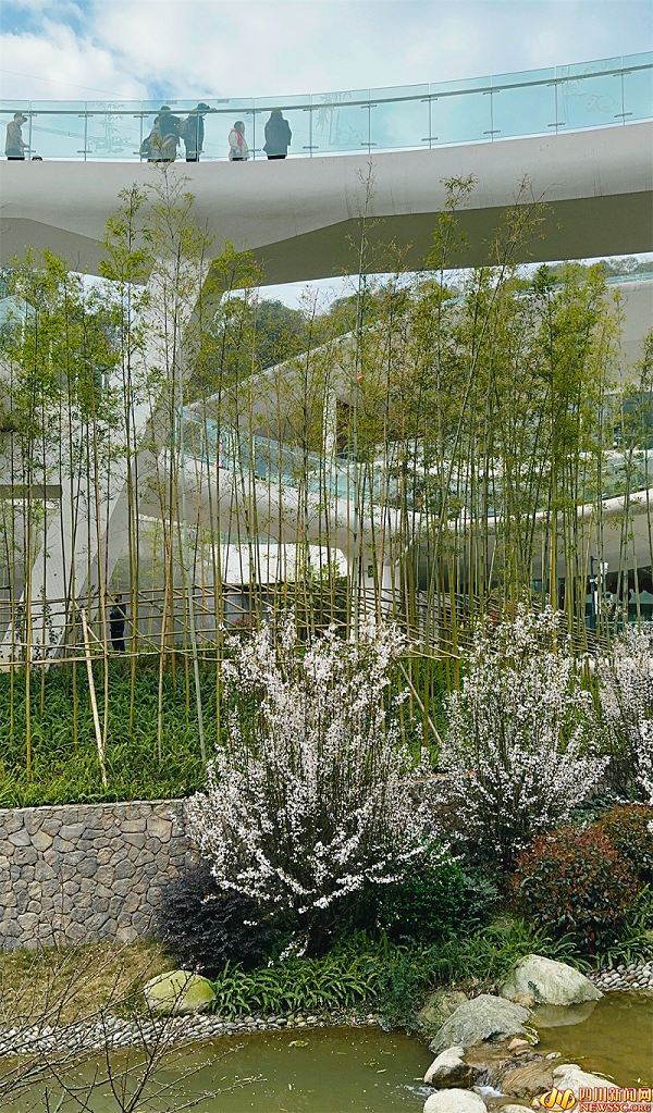 �����޶����̻���� (7).png