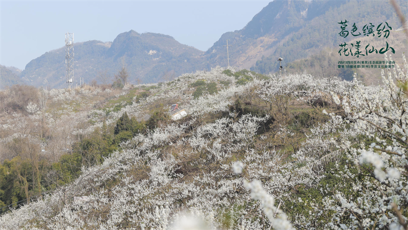 葛仙山景色.png 葛仙山景色.png