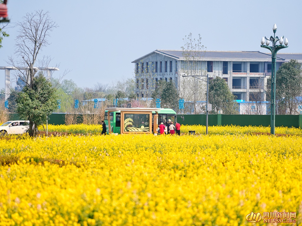 游客畅游在花海中 (1)_副本.jpg
