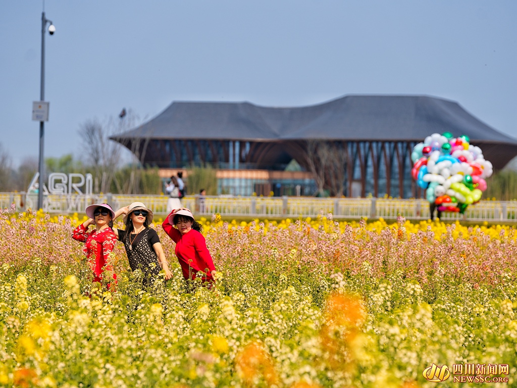 游客畅游在花海中 (4)_副本.jpg