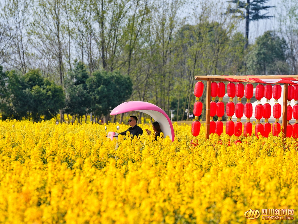游客畅游在花海中 (5)_副本.jpg