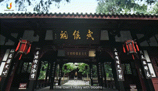 23 00_00_00-00_00_30.gif