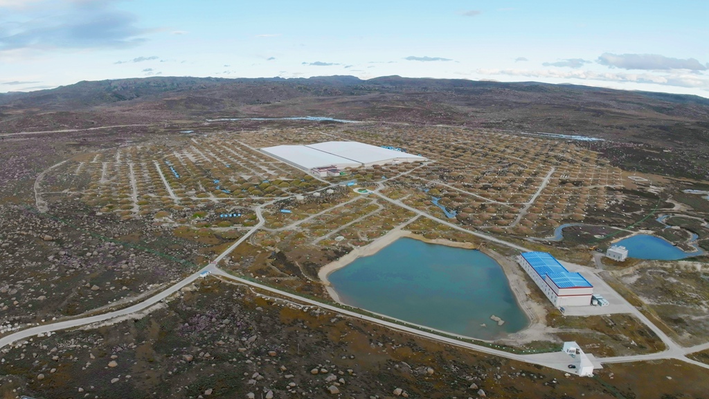 20221020-aerial-D_����.jpg