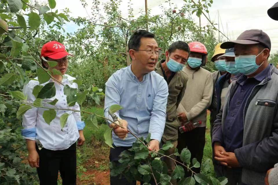 л�콭����Դ�ؿ�չƻ���ļ��޼���ѵ.jpg