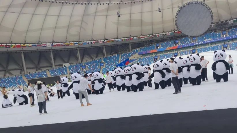 �����Ĵ���ѧ�Ĵ���è�����������ڲ���.jpg