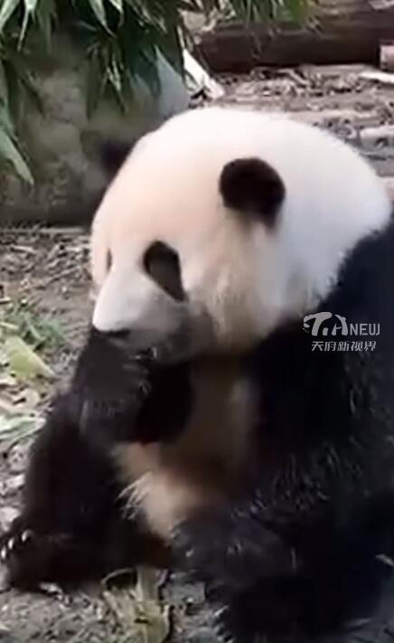 QQ截图20230910224912.jpg