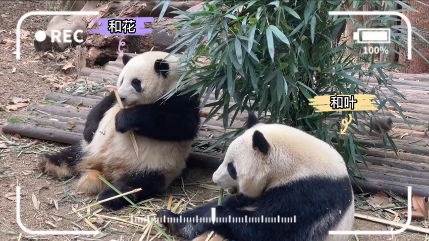 QQ截图20230910225417.jpg