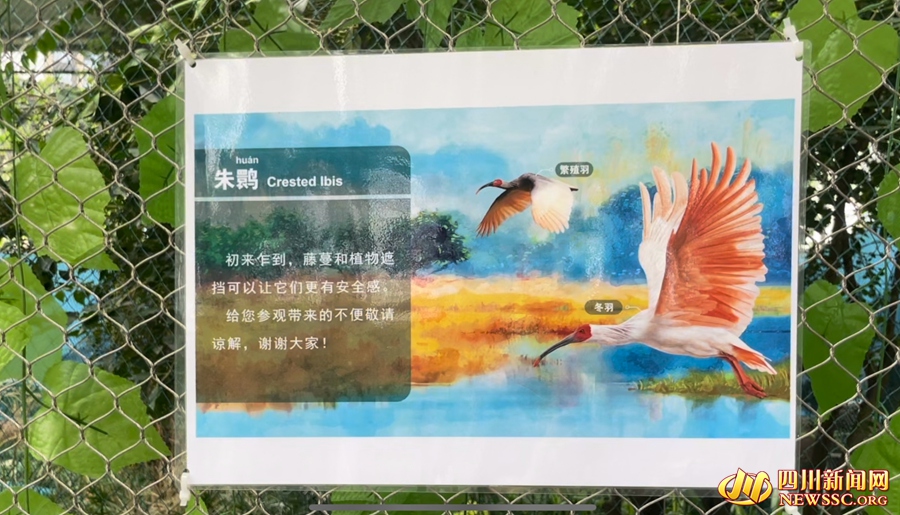 �ɶ�����԰Ϊ�����q��Ӧ�»�����չ��������������_����.jpg