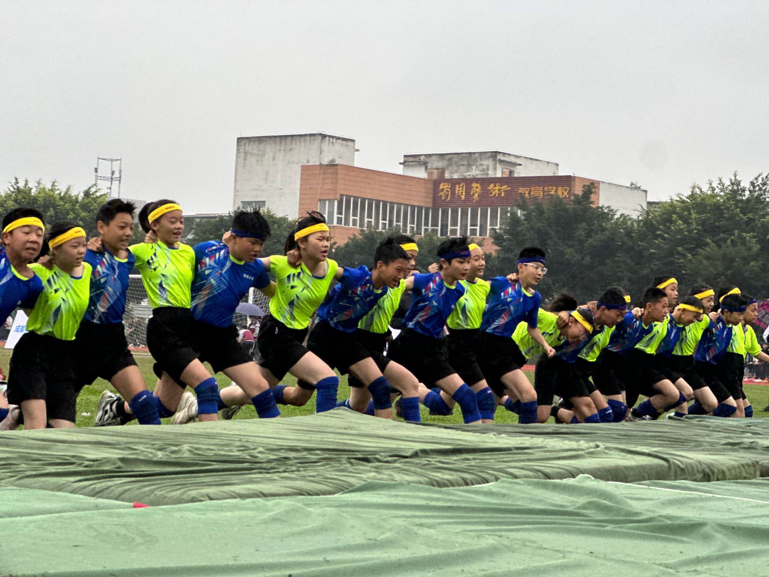 QQ图片20231112130135.jpg