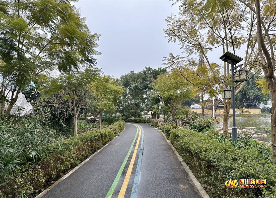 �ѽ�����ţ����ɾ��������幫·(1).jpg