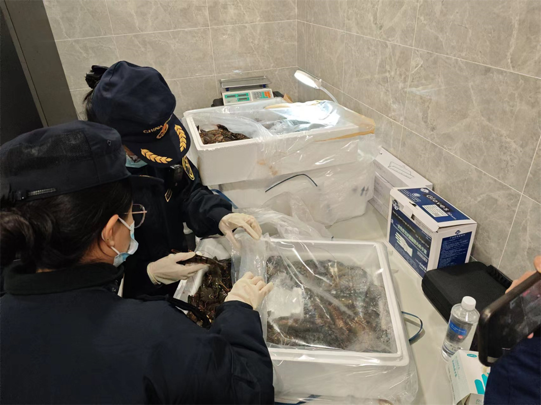 �ɶ����ع�����Ա���뾳�߽ڶ�Ϻ���в���.jpg