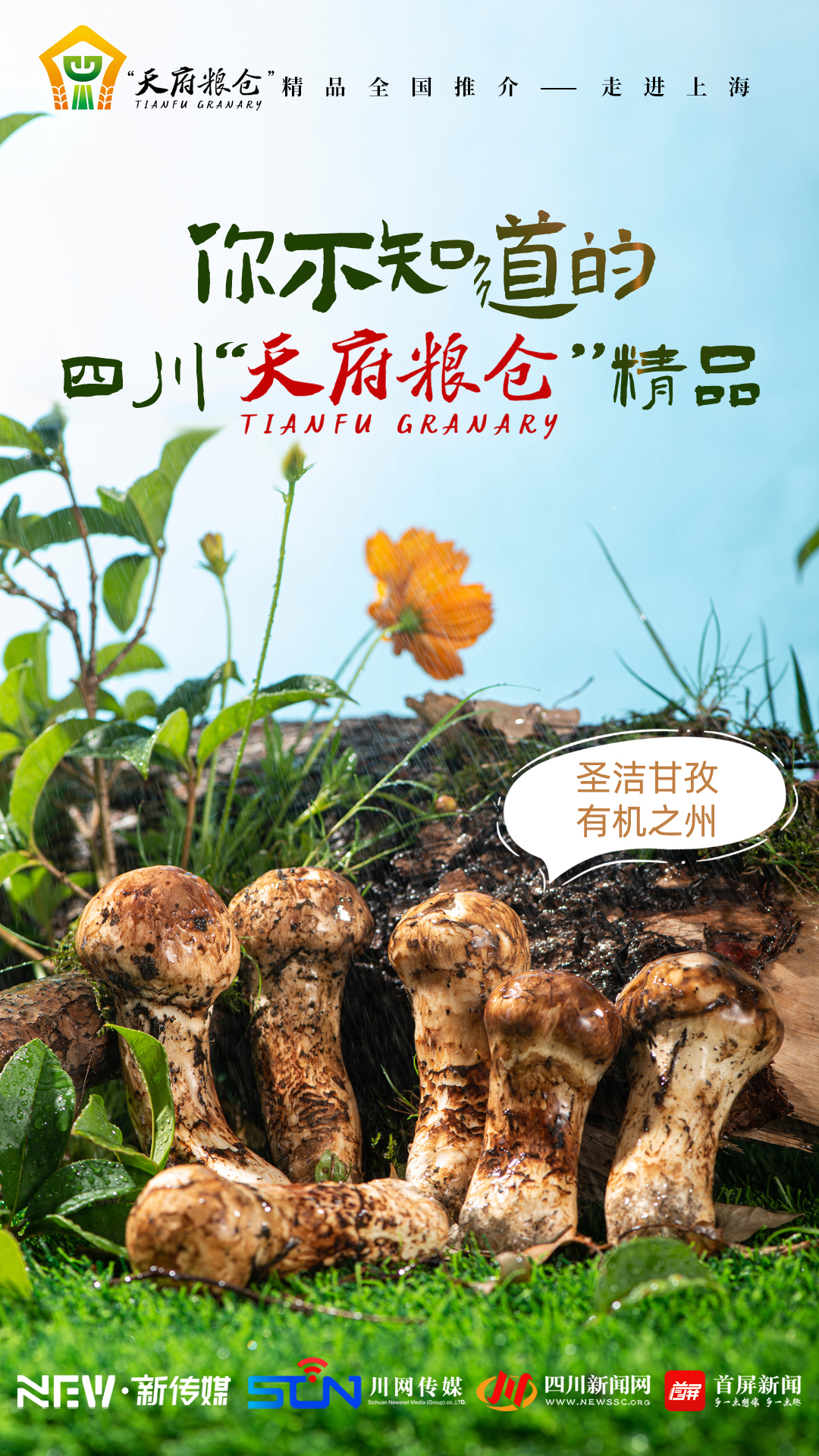 04-����.jpg