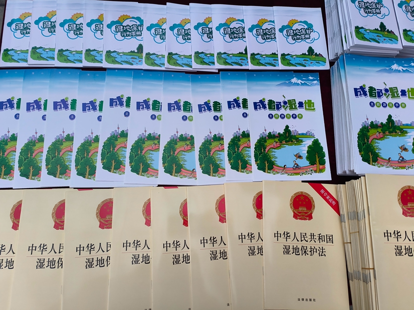 �����ֲ�.jpg