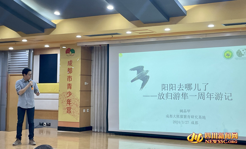 阙品甲博士介绍成都救护放归的游隼“阳阳”一周年游记_副本.jpg