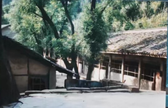 最好的“六一”儿童节礼物2.jpg