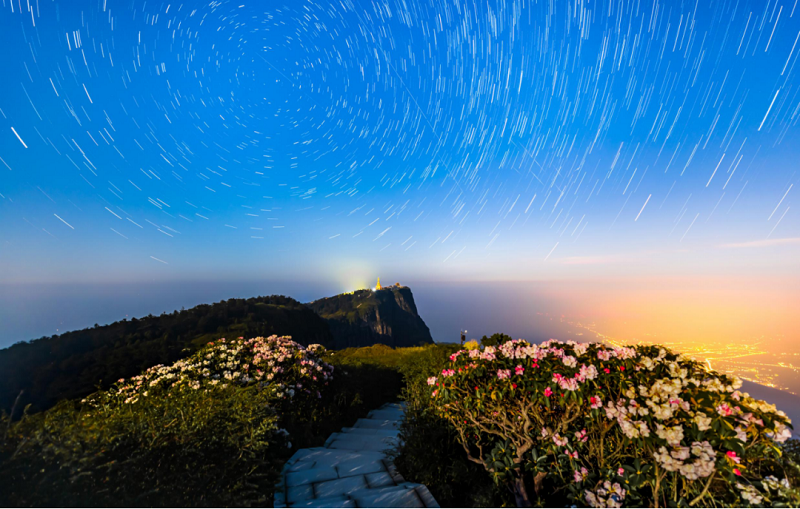 组图|如诗如画!峨眉山高山杜鹃唯美绽放276.png