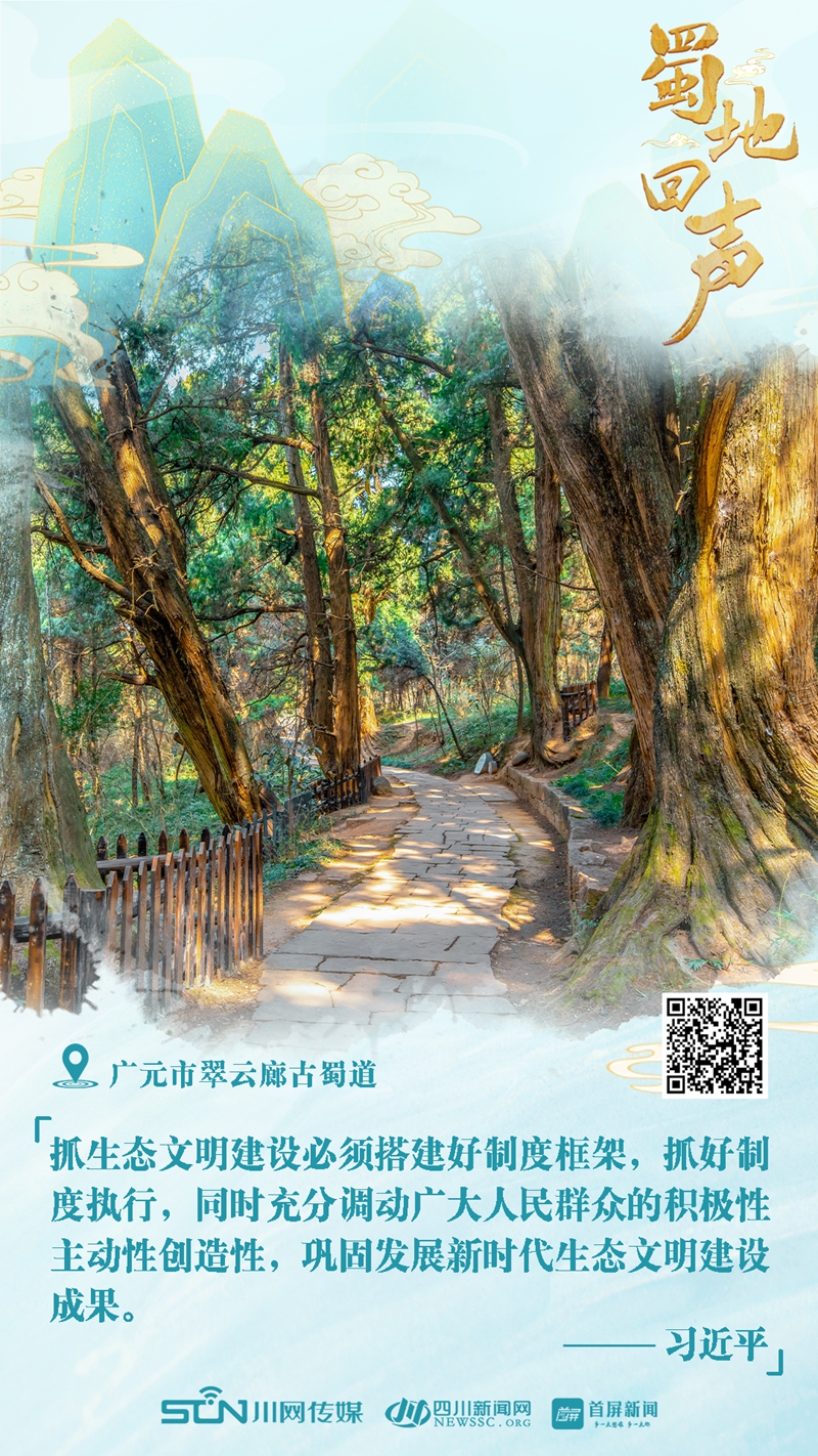 图片1_副本.jpg