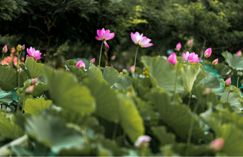��ͼ����ɽ��ü���������� ���ڵ����ġ�137.png
