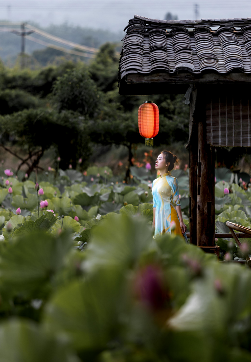 ��ͼ����ɽ��ü���������� ���ڵ����ġ�141.png