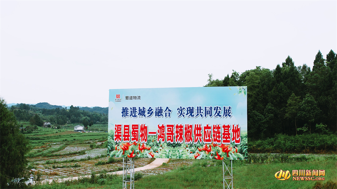 ��������һ���������Ӧ������.jpg