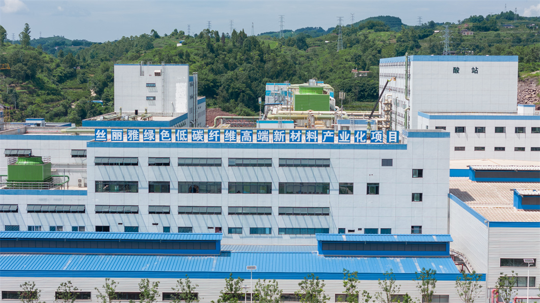 丝丽雅绿色低碳纤维素纤维高端新材料产业化项目.jpg