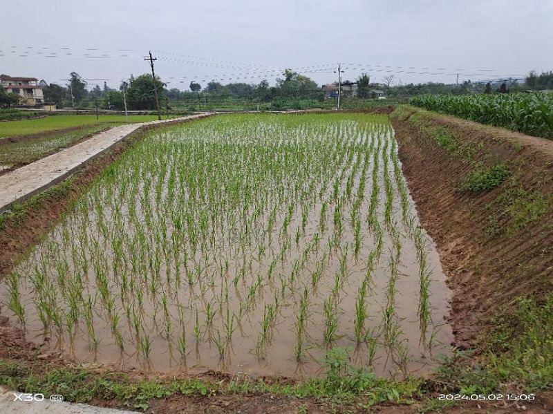 111 �����ˮ��_����.jpg