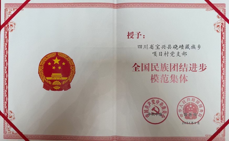 1  ���մ嵳֧�����й����롢����Ժ���衰ȫ�������Ž����ģ�����塱�ƺ�.jpg