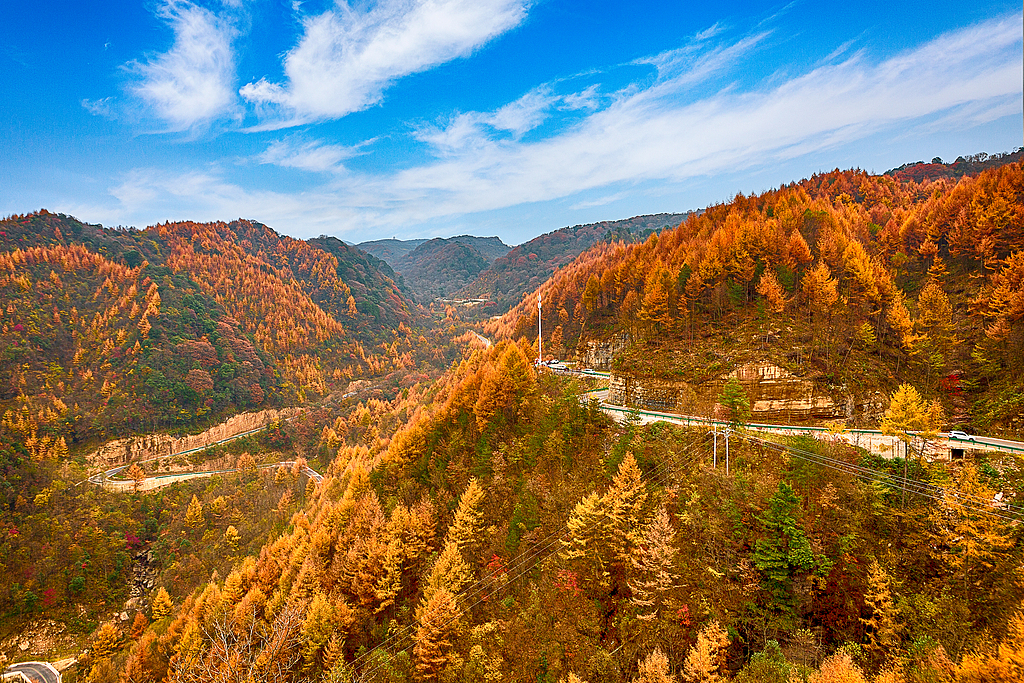 四川旺苍县光头山秋景.jpg