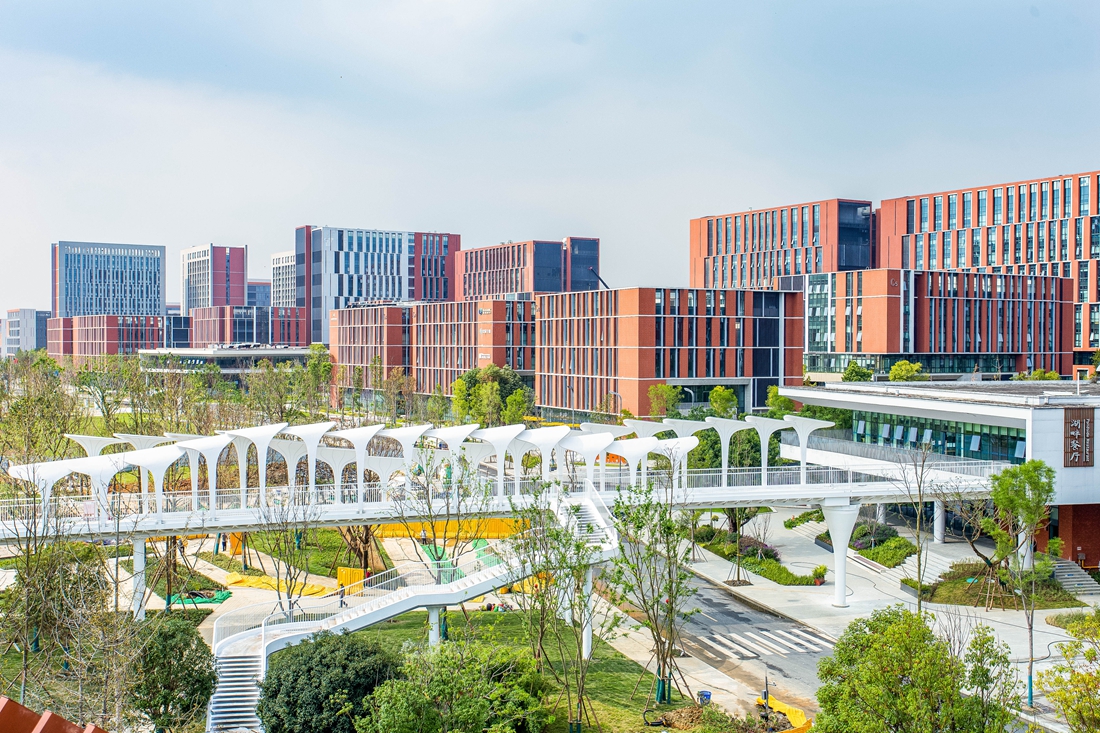 生物城景星路街景.jpg 生物城景星路街景.jpg