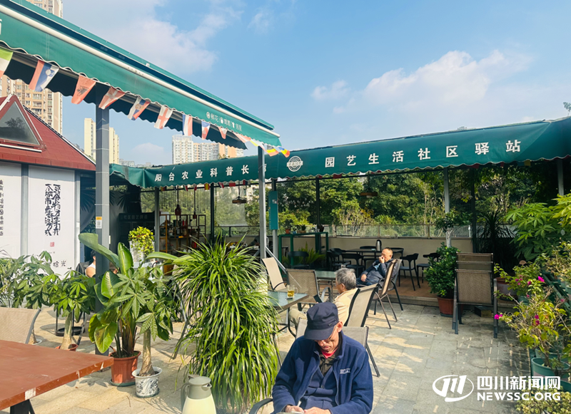 居民在屋顶花园悠闲喝茶.png 居民在屋顶花园悠闲喝茶.png