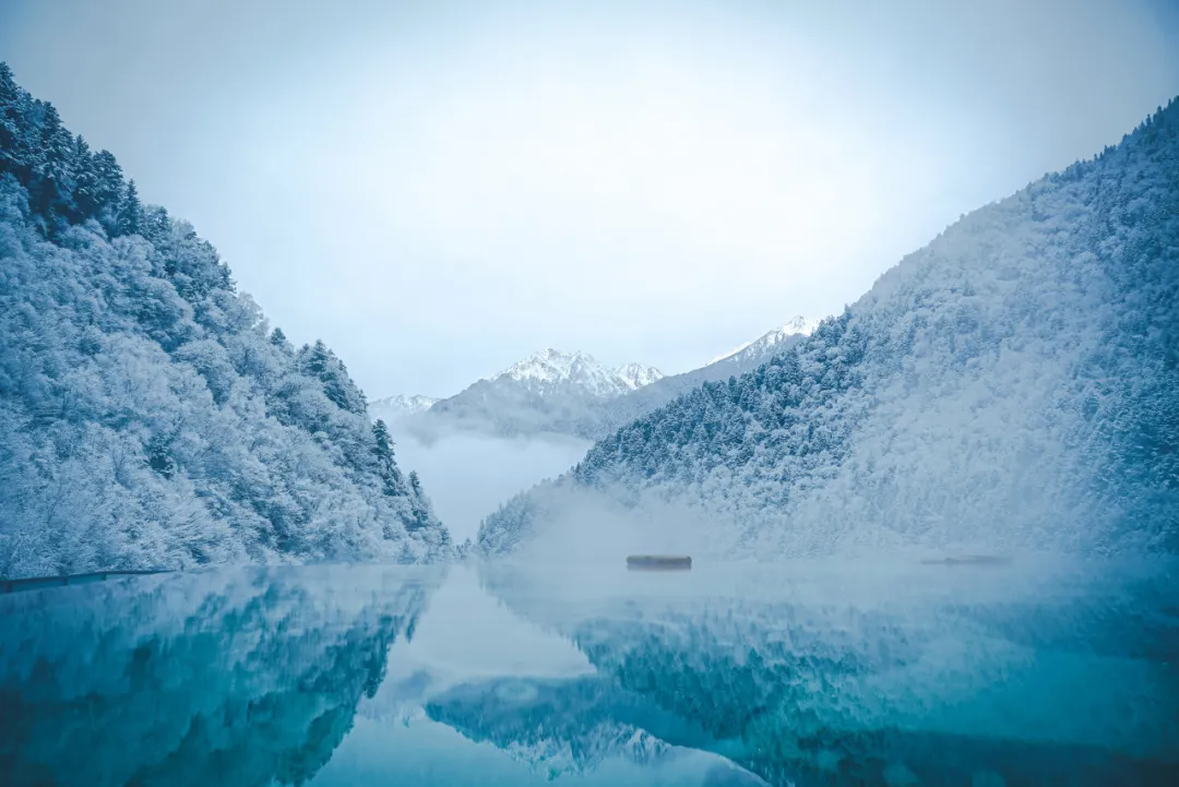 640.webp (4).png