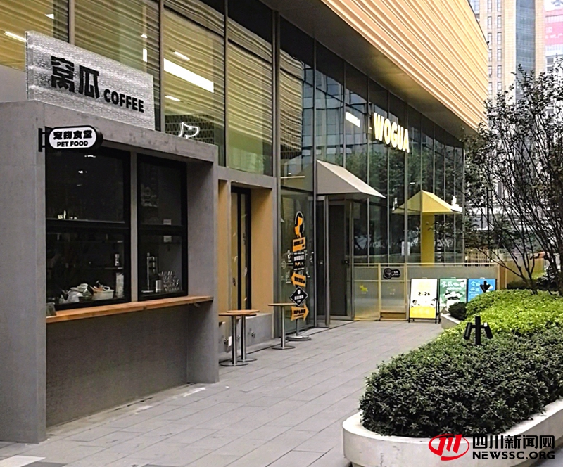 窝瓜宠物幼儿园门店1.jpg 窝瓜宠物幼儿园门店1.jpg